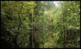 /album/jogo/amazonia-png2/
