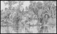 /album/jogo/amazonia2-png1/