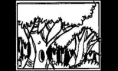 /album/jogo/amazonia4-png1/